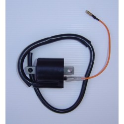 Ignition Coil 6V (Single Wire)