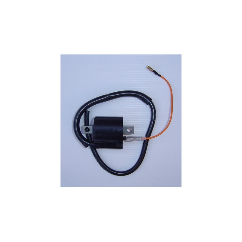 Ignition Coil 6V (Single Wire)