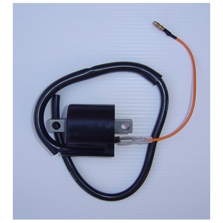 Ignition Coil 6V (Single Wire)